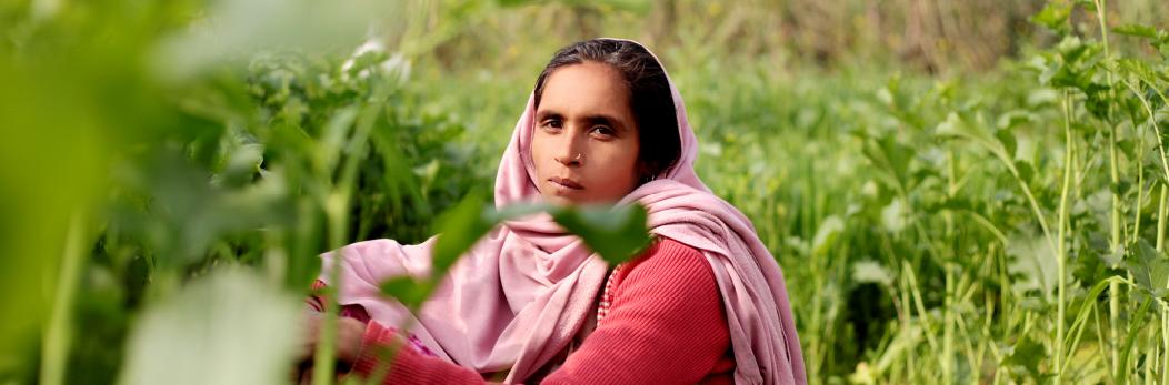 An indian woman in a field, Source: iStock