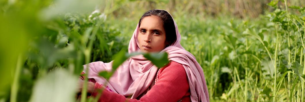 An indian woman in a field, Source: iStock