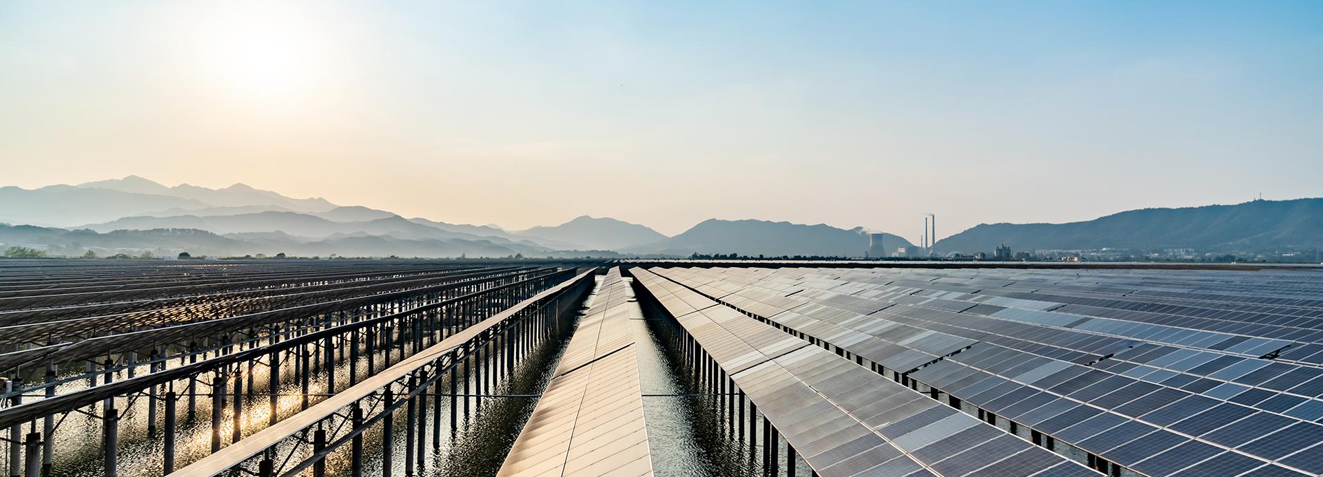 A field of solar panels, Source: iStock